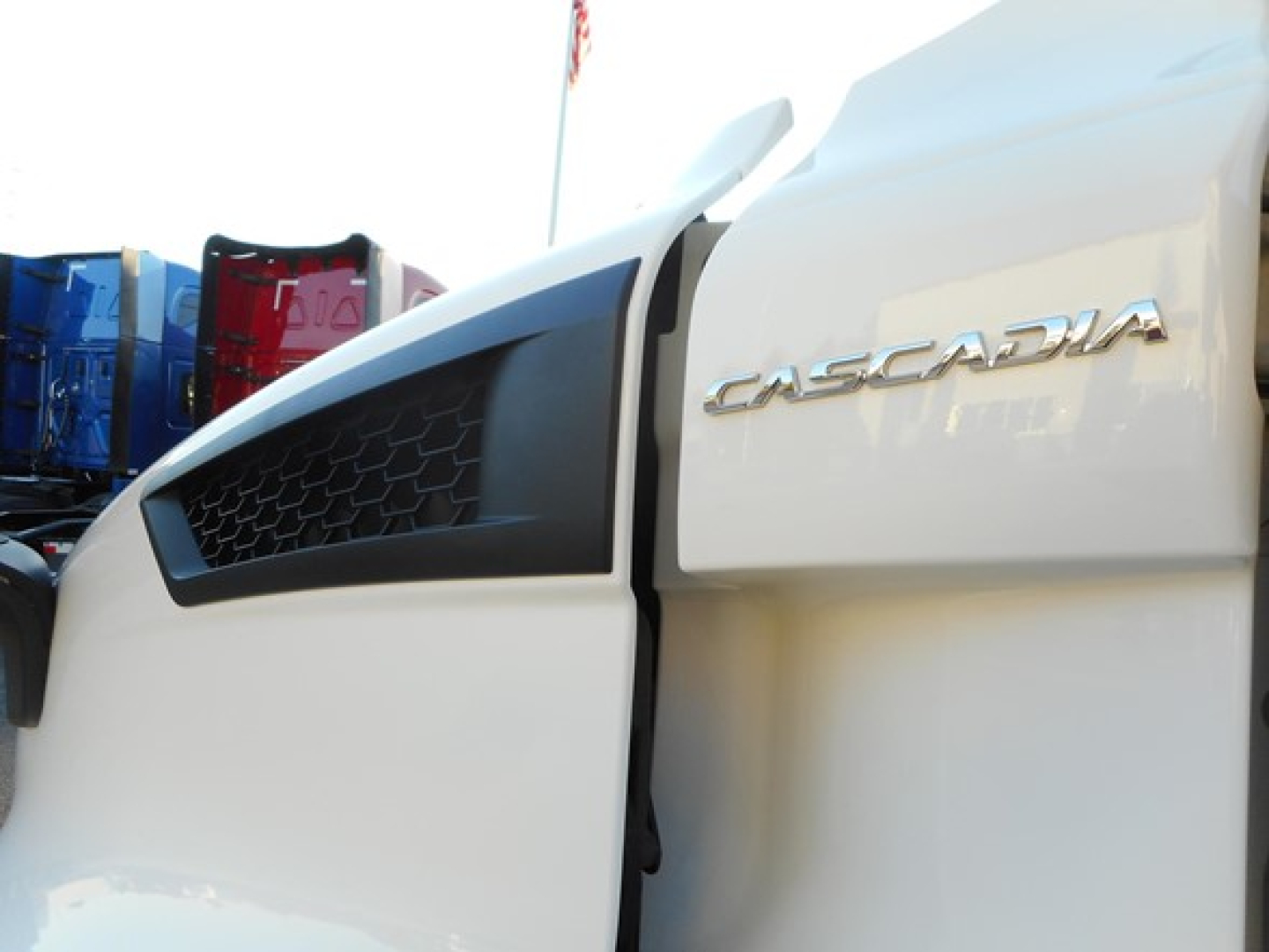 Freightliner Cascadia 116 emblem and front fender with chrome Cascadia badge on light-colored cab.
