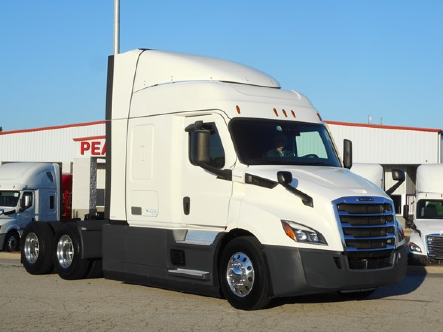 Freightliner Cascadia 116 tractor-trailer cab in white, side view with sleeper cab and aerodynamic roof.