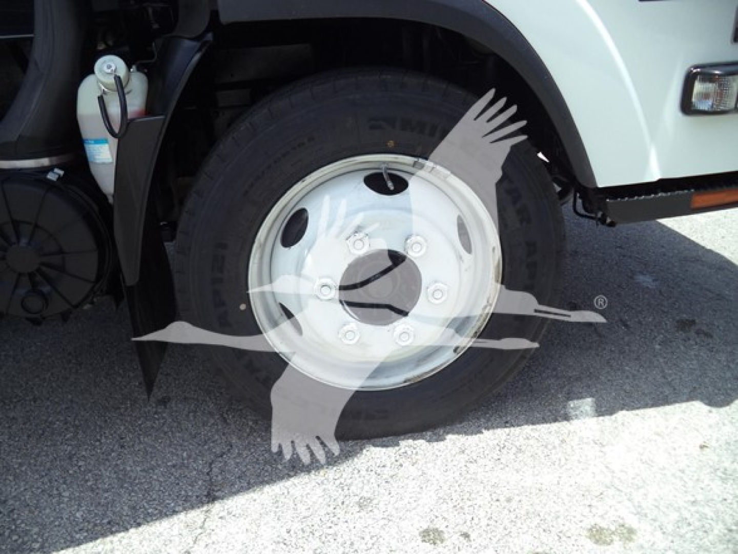 Isuzu NPR front wheel and fender showing steel wheel with hub and tire; part of truck undercarriage visible.