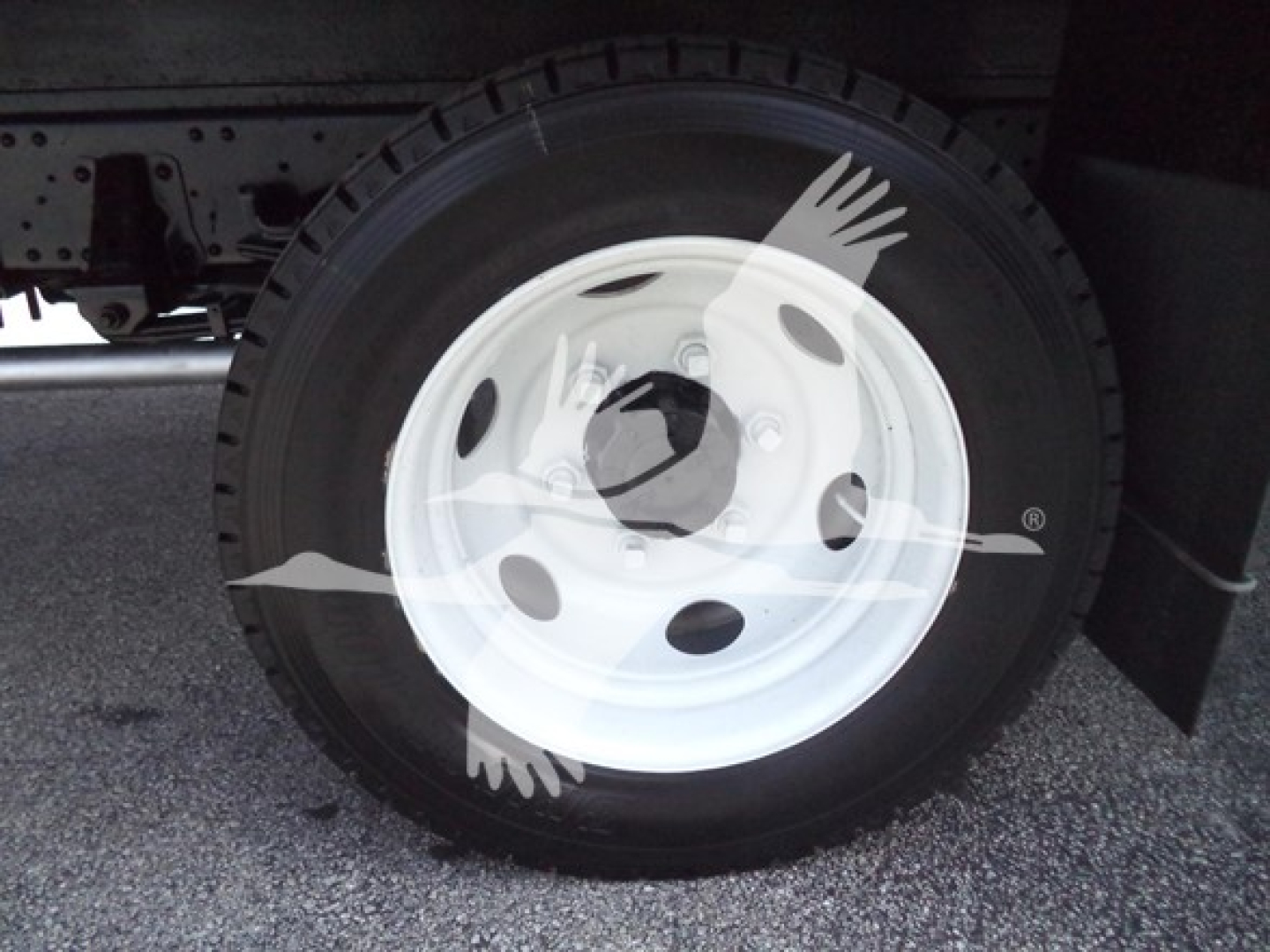 Isuzu NPR wheel area showing a white steel wheel with black tire and partial undercarriage. No legible labels or text visible on the wheel.