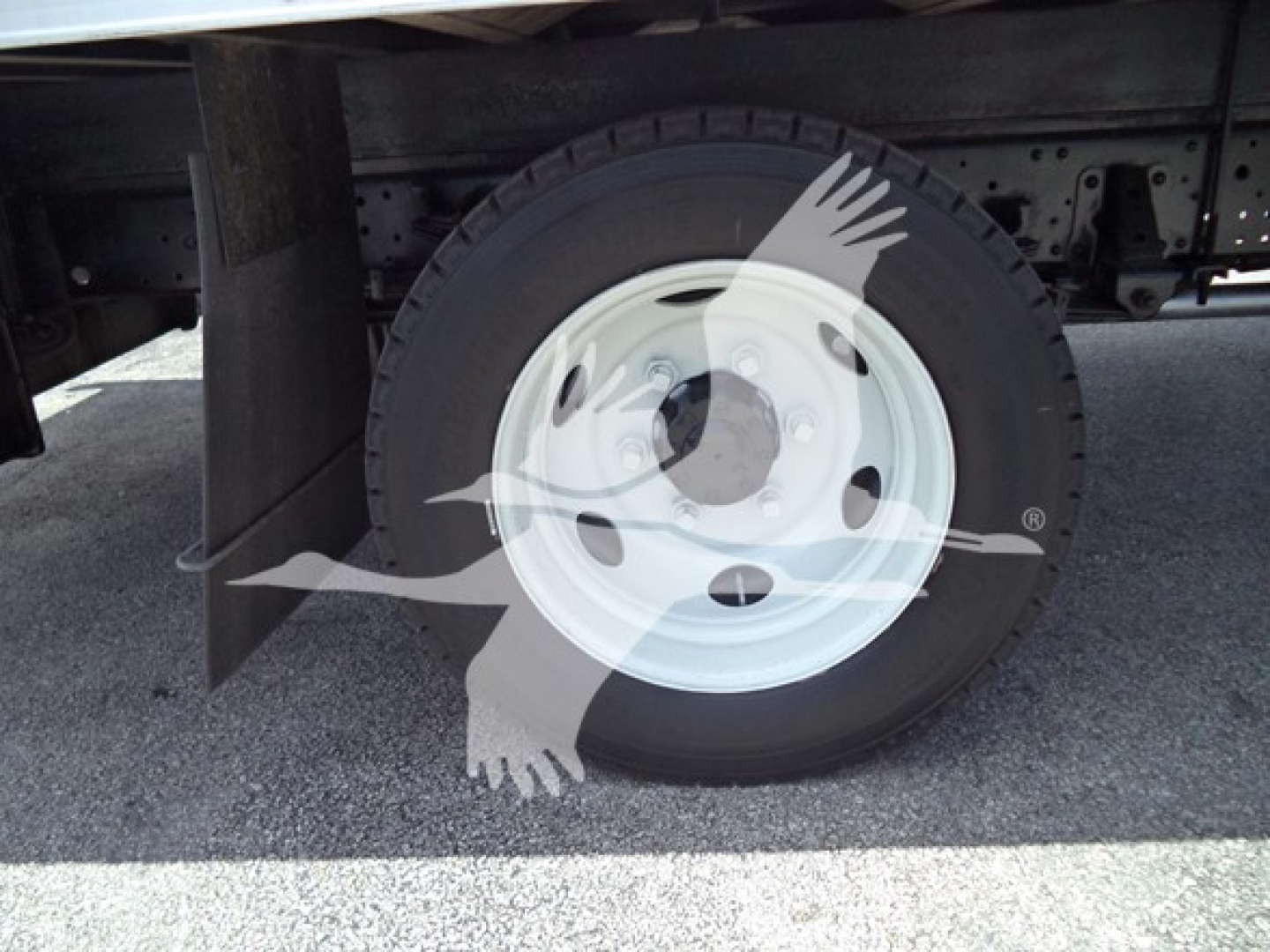 Isuzu NPR truck wheel and tire shown in side view, white steel rim, underbody area visible.