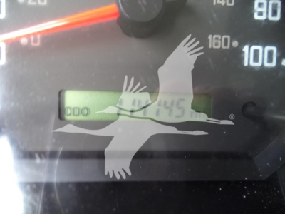 Dashboard showing odometer/odometer digits and speedometer; trimmed numbers readout with an overlay watermark of birds.