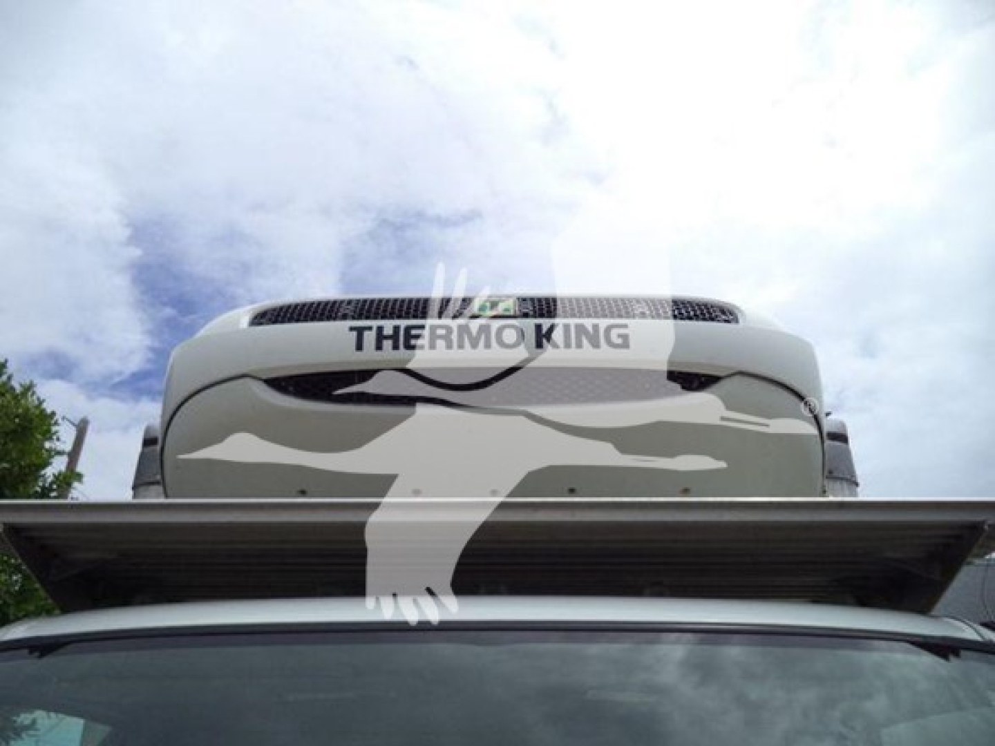 Refrigerated truck cab with a Thermo King unit on top, white and gray camo graphics visible.