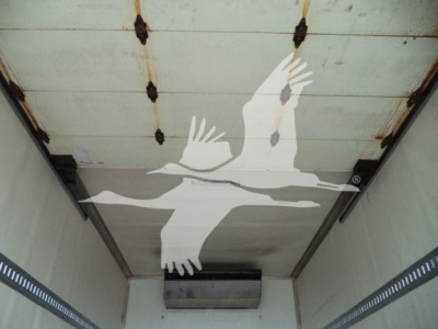 Hino 195 refrigerated truck interior cargo area with overhead ceiling and side rails.