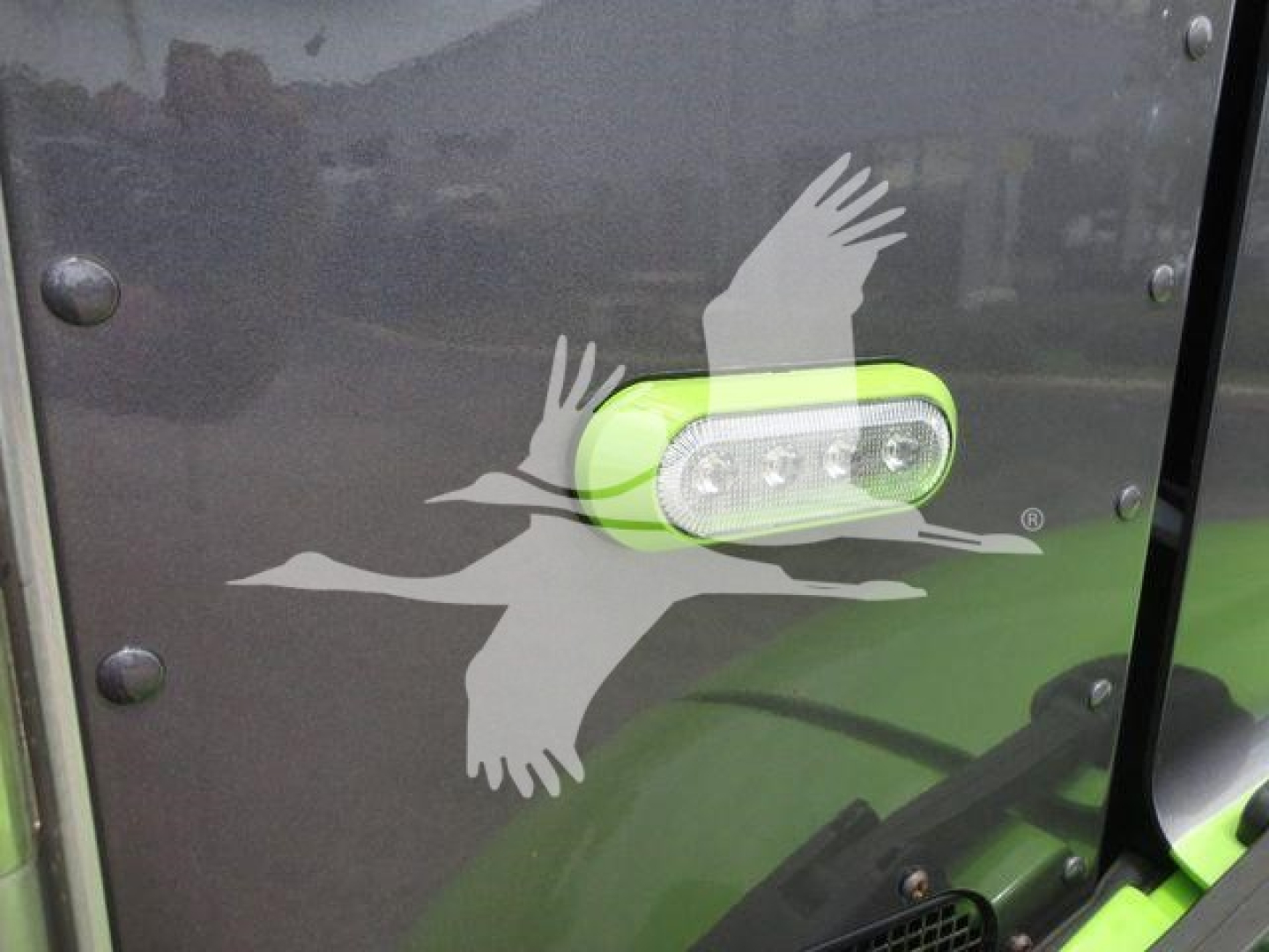 Peterbilt truck side panel with green LED light and silhouette graphic of flying birds.