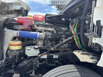 Freightliner Cascadia engine bay showing coolant reservoir, pink coolant overflow, blue coolant hose, multiple colored electrical harnesses, and various fluids/filters.
