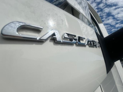 Freightliner Cascadia emblem on truck cab with partial side mirror and sky background