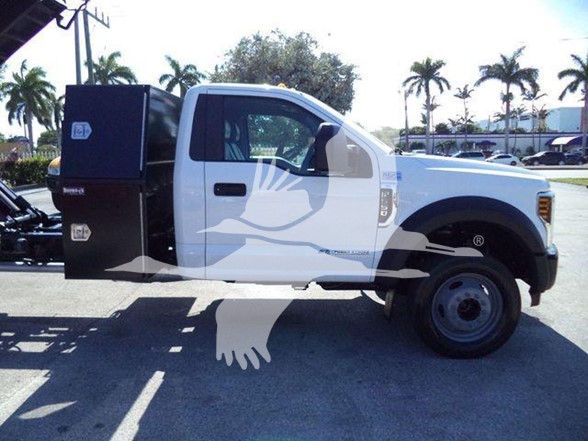 2019 Ford F550