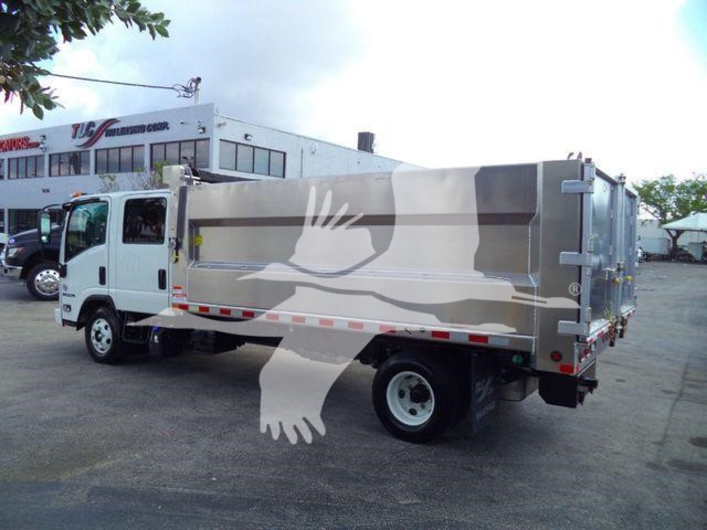Isuzu NPR-HD dump truck viewed from the rear-left side with a light gray cargo body and white eagle watermark.