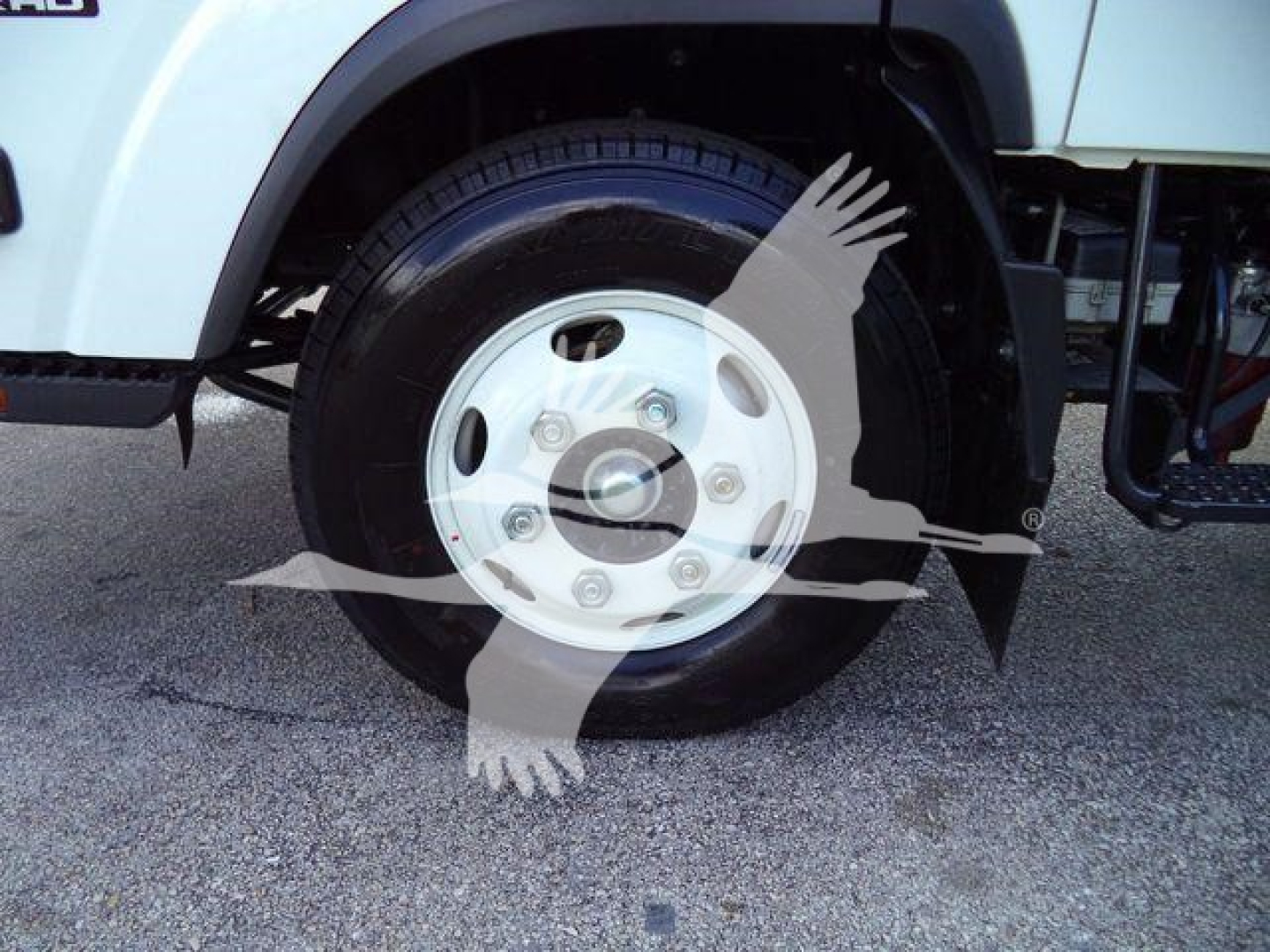 Isuzu NPR HD truck front wheel and fender showing steel wheel with hubcap and tire, white body panel above.