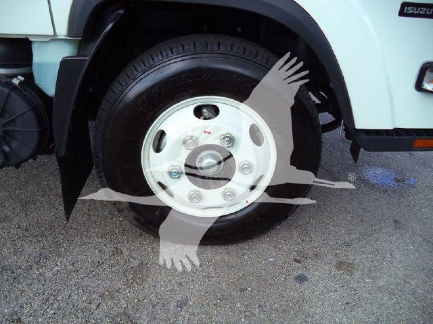 Isuzu NPR HD front wheel showing steel wheel and tire with hub cap and lug nuts.