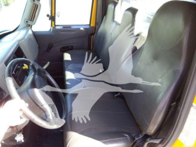 Interior of a 2019 International Durastar 4300 cab showing steering wheel and front seats; watermark of a bird overlaps the seats.