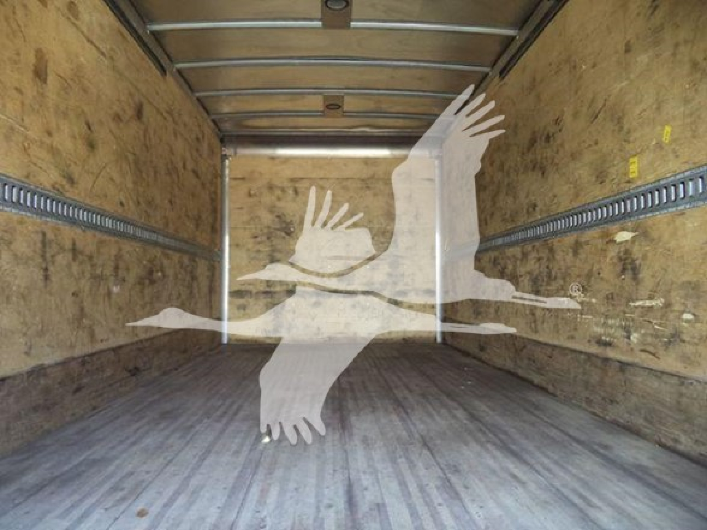 Truck box interior view with sidewall rails and wooden walls, empty cargo area. Overlay silhouette of birds in flight. Text not visible inside body.