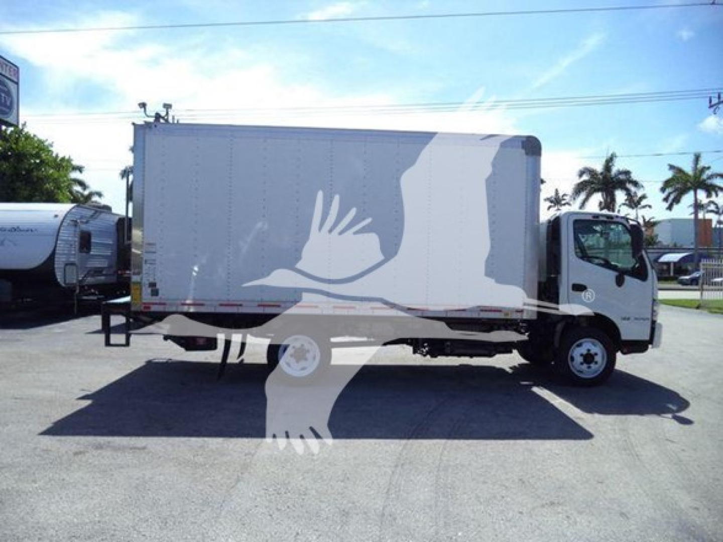 Box truck side view showing Hino 195 with white cargo box and graphic white bird silhouette.