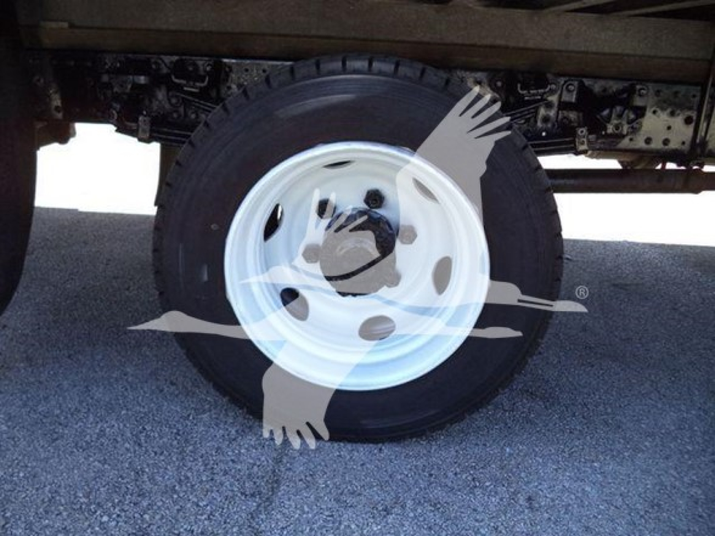 Wheel and tire of a box truck showing white steel wheel and black tire with undercarriage view.