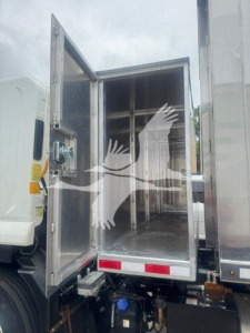 Isuzu NPR or similar truck cargo area with rear doors open showing empty interior cargo space and partitions.