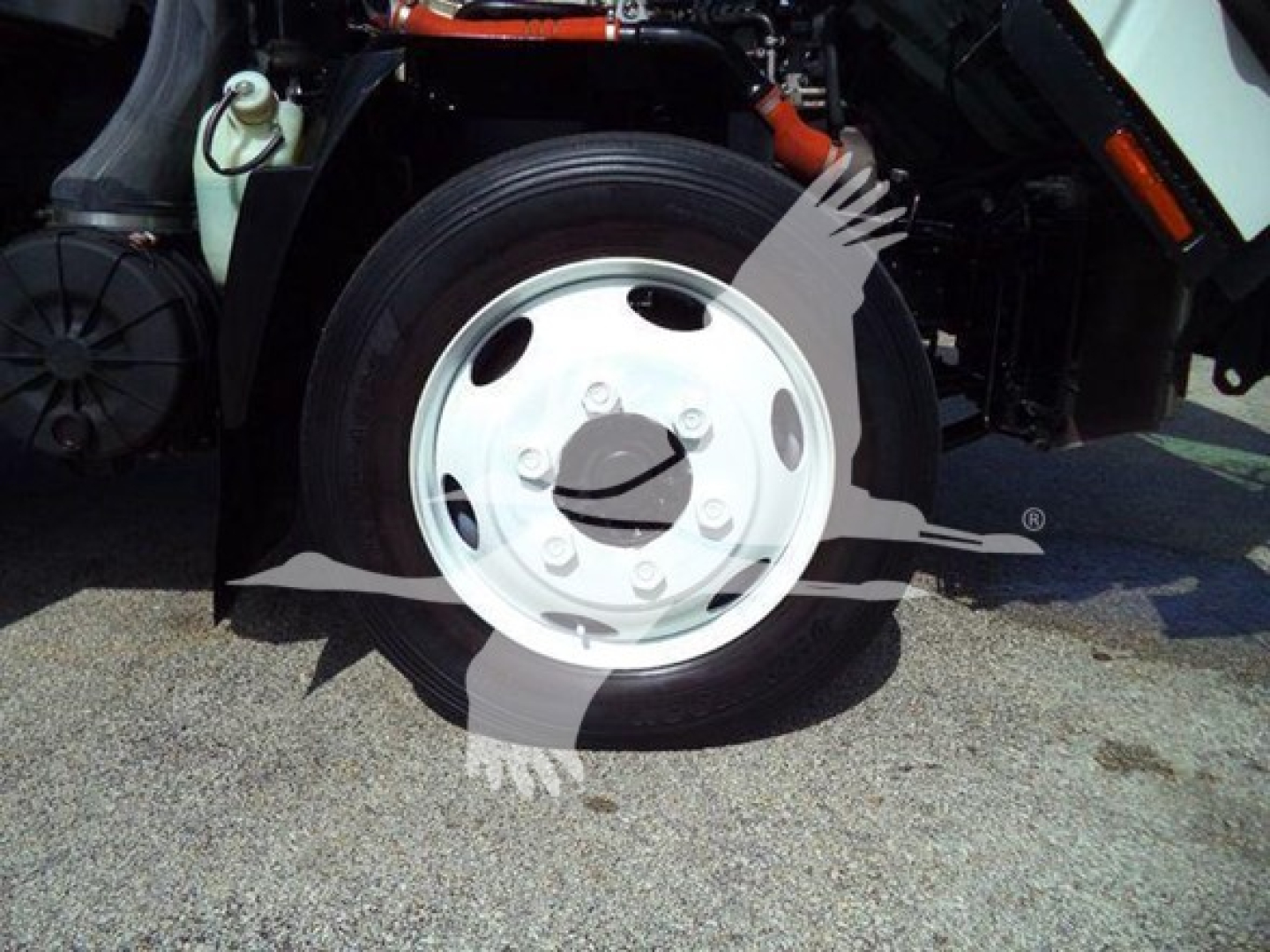 Isuzu NRR front wheel and fender area showing white steel rim and tire, with part of the chassis and hoses visible.