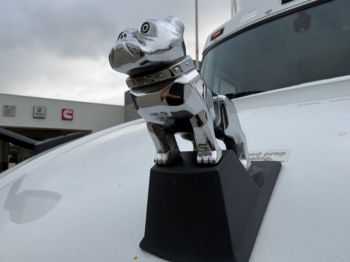 Chrome Mack bulldog hood ornament on white truck hood with reflection and dealership background.