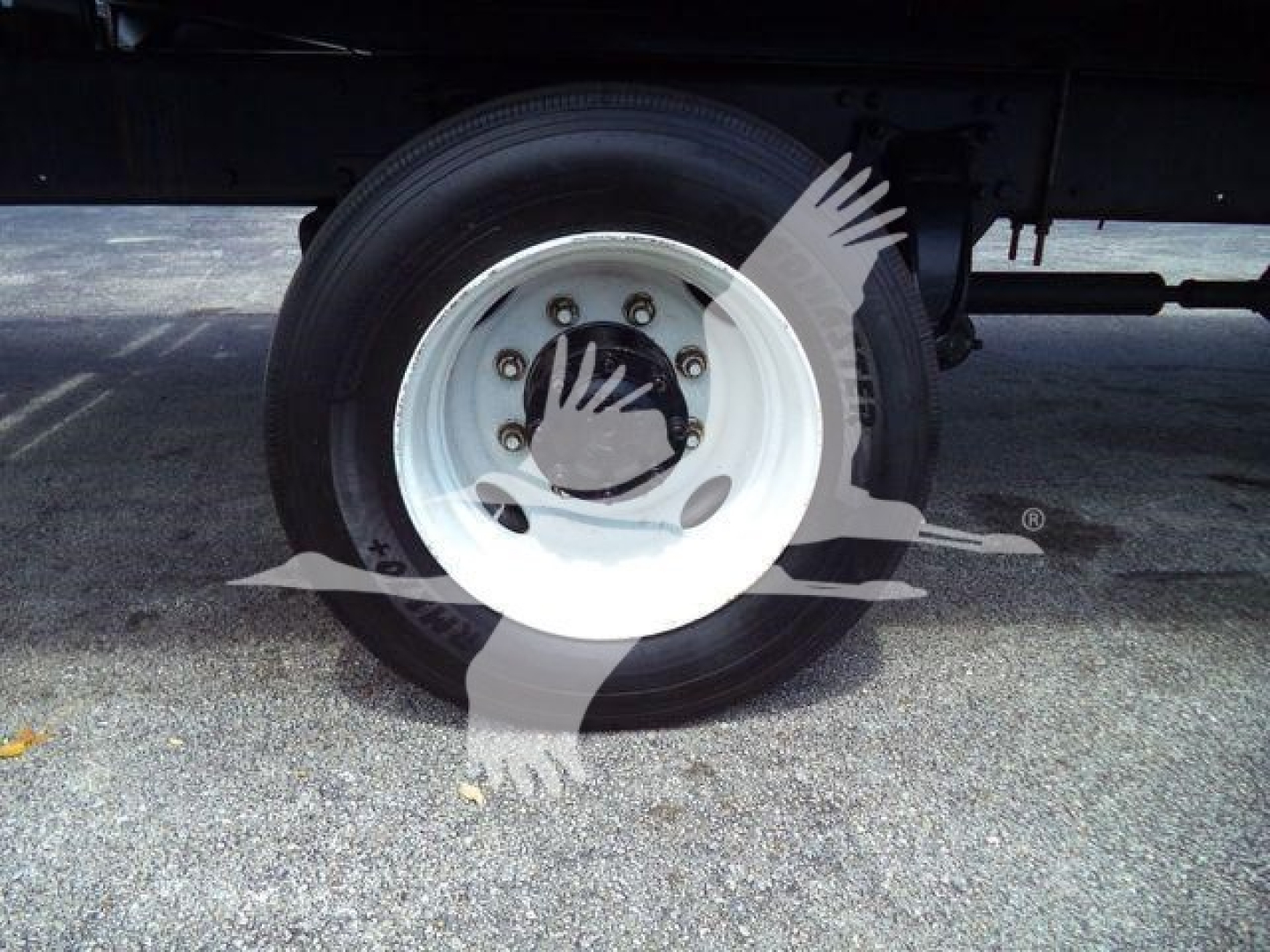 Truck wheel and tire on Freightliner M2 106 side view showing white steel wheel, lug nuts, and undercarriage components.