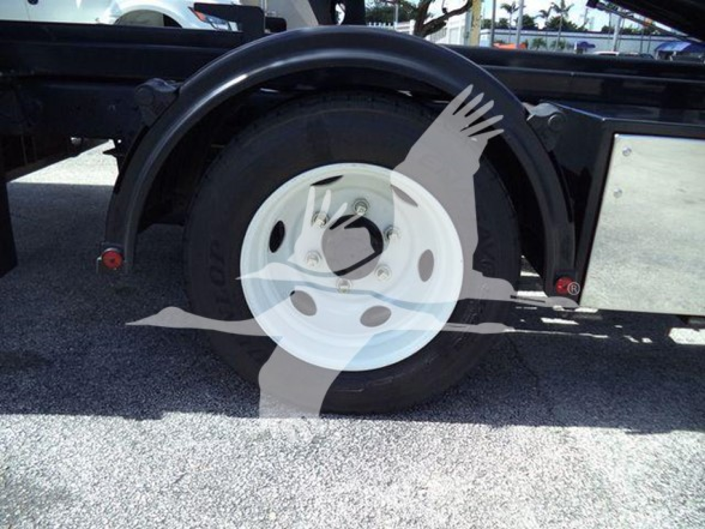Isuzu NPR HD truck rear wheel with fender and spare wheel on liftgate frame showing white wheel and black tire.