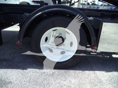 Isuzu NPR HD truck rear wheel with fender and spare wheel on liftgate frame showing white wheel and black tire.