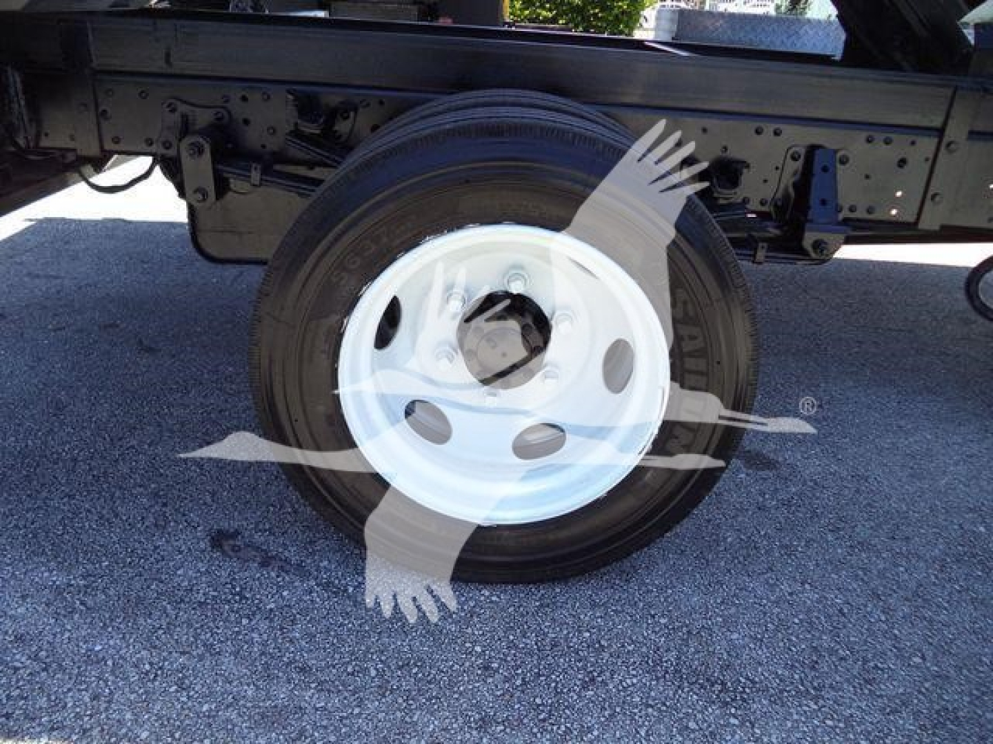 Isuzu NPR HD truck wheel and undercarriage showing white steel wheel and tire with chassis components.