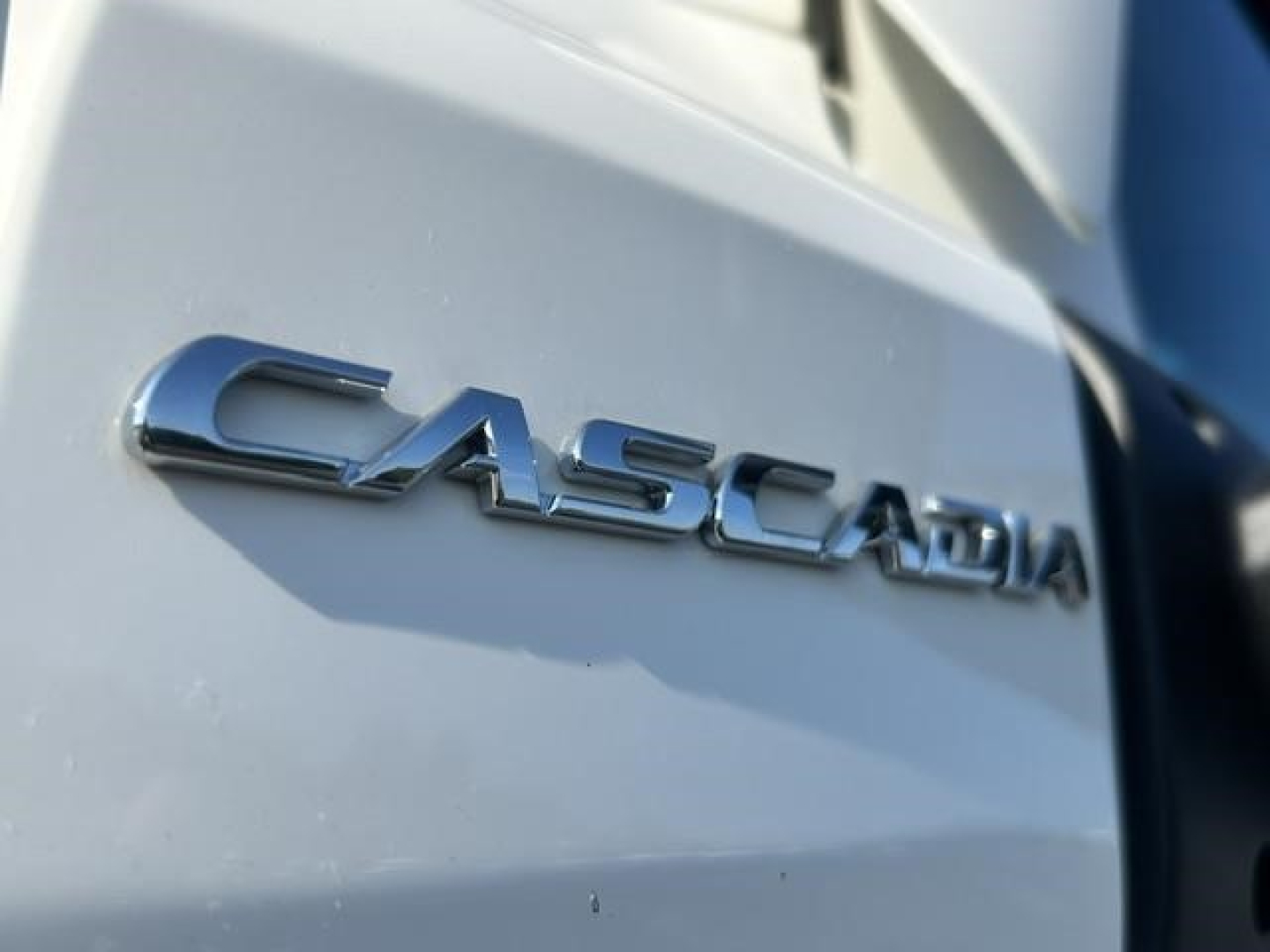 Casadia truck hood showing silver Freightliner Cascadia emblem on light gray surface.