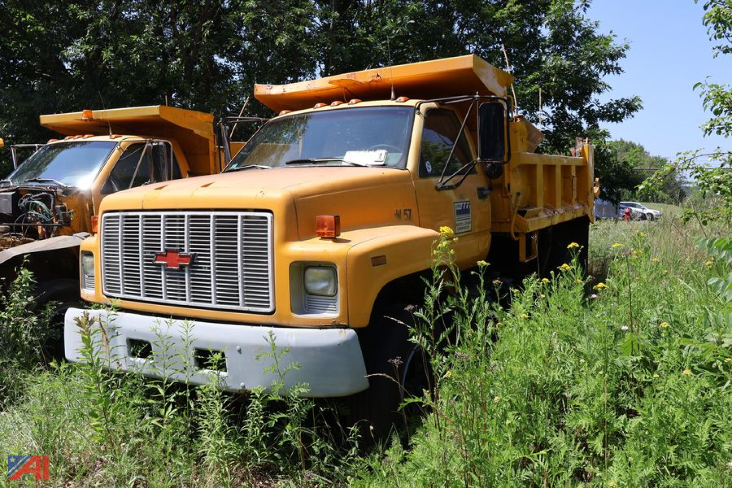 Chevrolet Kodiak C7500 dump truck in serviceable condition with yellow cab and dump bed, overgrown vegetation around.