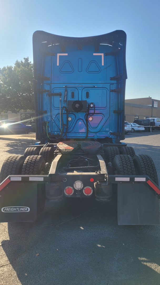 Freightliner Cascadia 126 truck rear view showing blue sleeper door, taillights, bumper, and mud flaps with Freightliner logo.