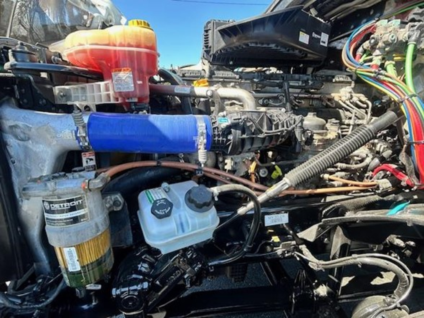 Freightliner Cascadia 126 engine bay showing coolant reservoir, blue silicone intercooler hose, diesel filter, and assorted wiring harnesses.