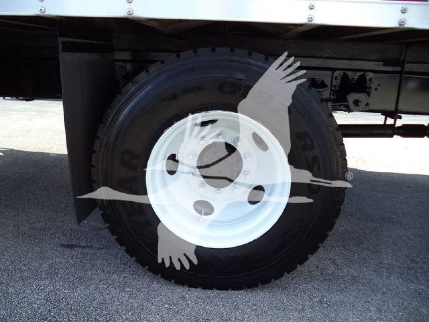 Wheel and tire on Isuzu box truck showing white steel rim and black tire under cargo area.