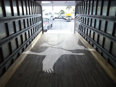 Isuzu NPR/FC or box truck cargo area view with wooden floor and flanges along sides, looking toward the cab. There are bird silhouettes painted on the floor.