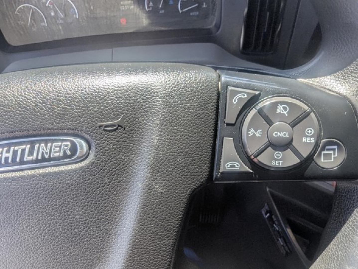 Freightliner Cascadia steering wheel with cruise control buttons and dash gauges.