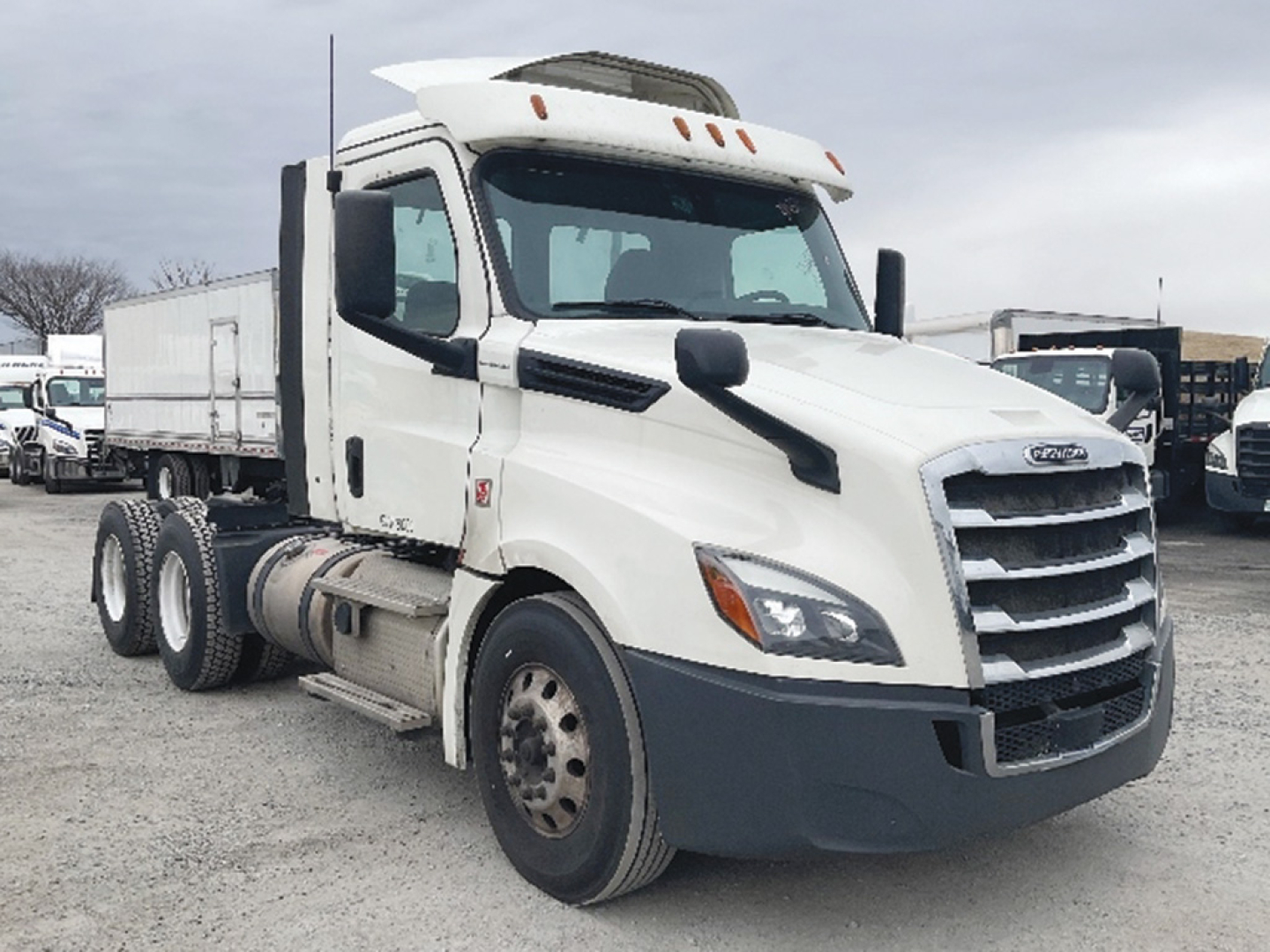 Freightliner Cascadia126 conventional daycab truck showing front and left side with white cab and sleeper, black bumper, and dual rear axles.