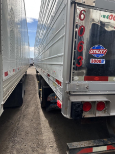 Rear view of a used 2018 Utility 3000R trailer showing model badge and serial stickers, with stacked trailers flanking the sides.