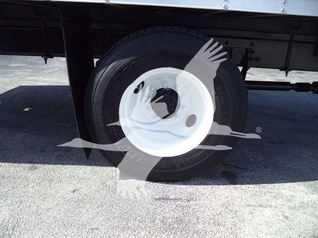 2019 International Durastar