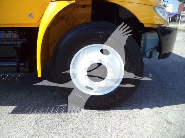 2019 International Durastar