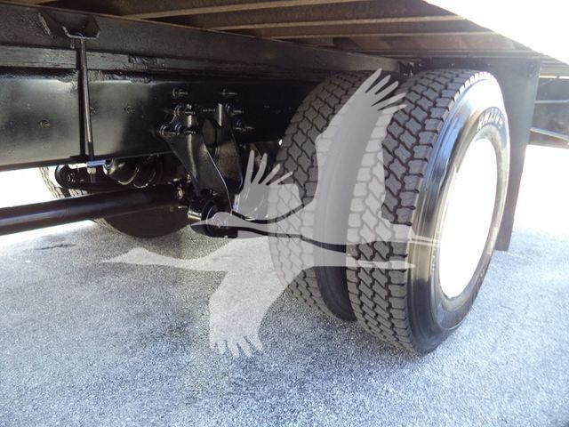 2019 International Durastar