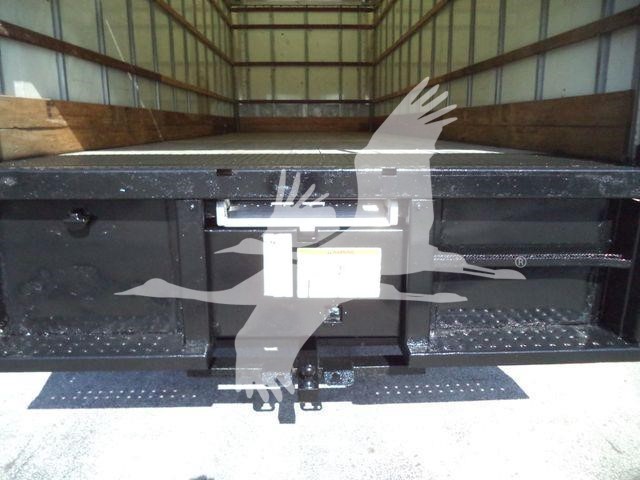 2019 International Durastar