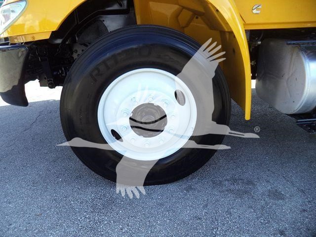 2019 International Durastar