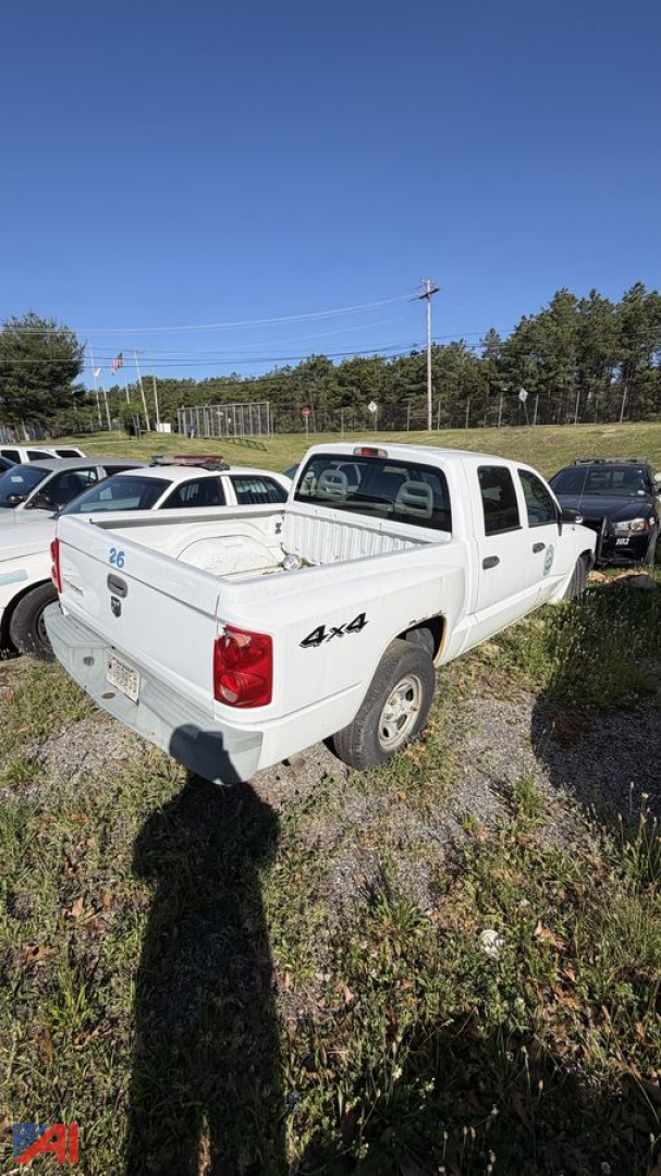 White 2005 Dodge Dakota pickup 4x4 rear and passenger-side view showing bed and tailgate with 4x4 decal.