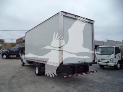 Ford E-Series box truck rear view showing cargo area and rear bumper with reflective striping.