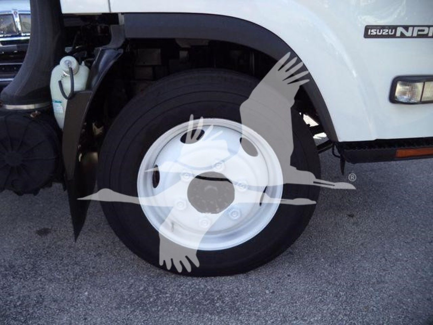 Isuzu NPR HD truck front wheel and fender showing wheel, tire, and partial cab with Isuzu NPR badge.