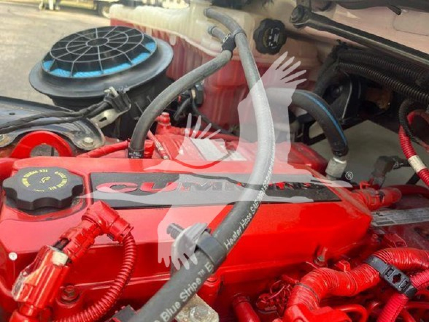 Engine bay of a 2019 Freightliner M2 106 with red valve covers and visible coolant reservoir; text on valve cover reads 'CUMI?' not clear; oil filler cap visible; hoses and wiring around; blue air intake cover on left.
