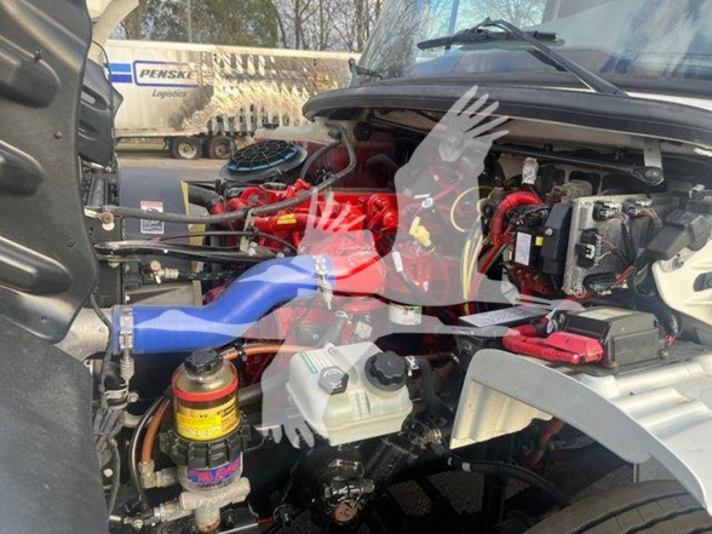 Freightliner M2 engine bay with red hoses and blue intake, visible reservoir caps and components; no legible labels or part numbers readable