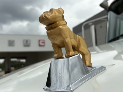 Mack GR64F truck decorative bulldog hood ornament on chrome pedestal, with blurred dealership background.
