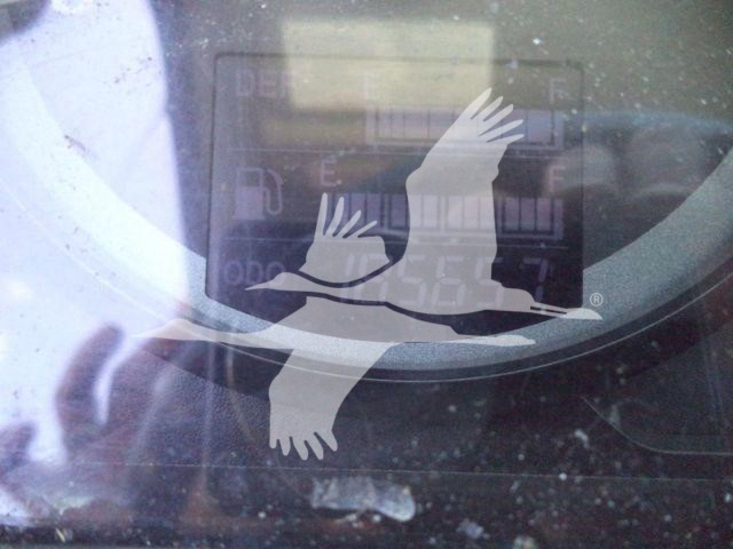 Dashboard view showing a generic gauge cluster with a white overlay of two seagull silhouettes. Visible text includes partial numbers around gauges.