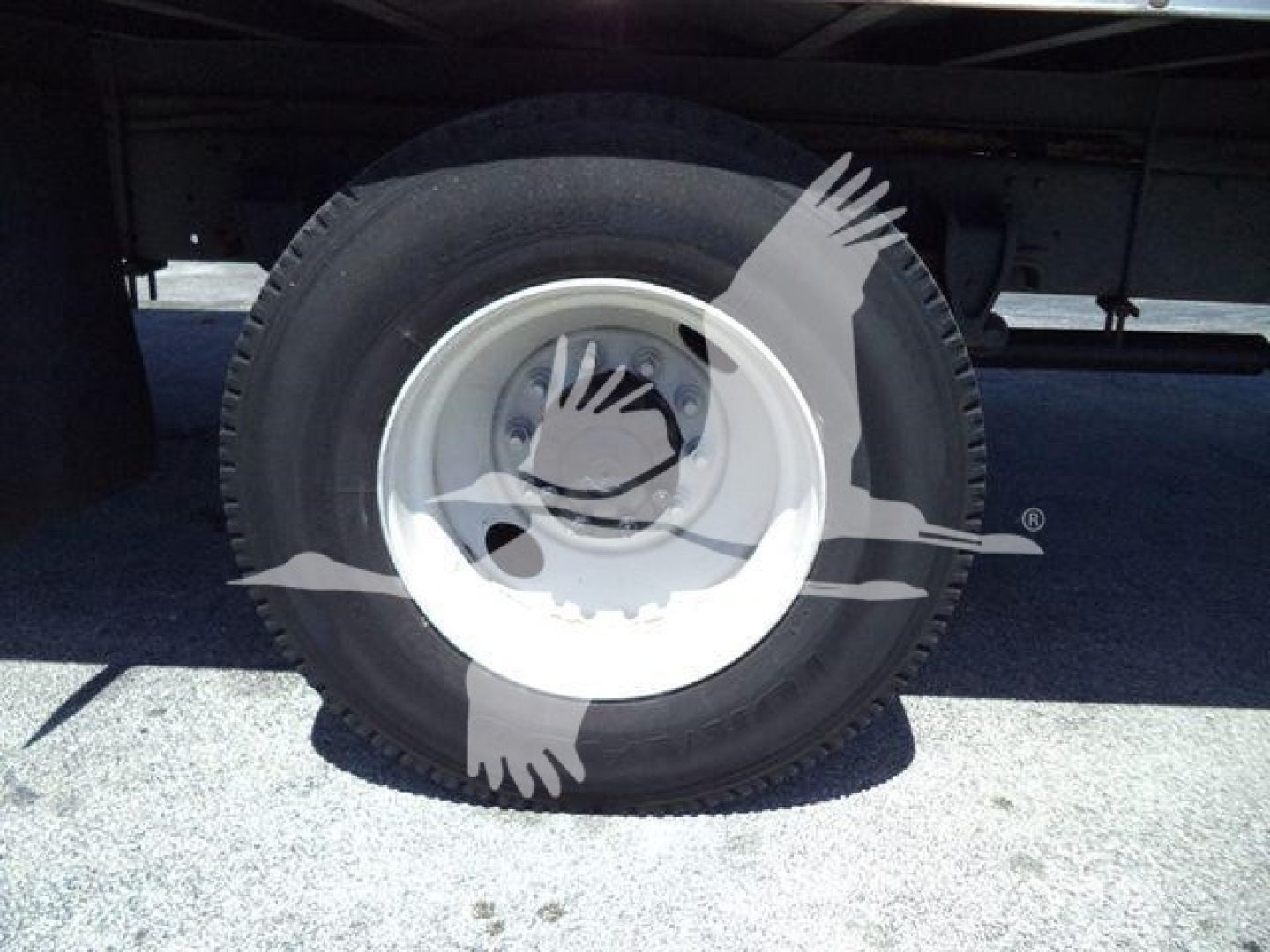 Rear wheel and tire of a 2019 Hino 268A refrigerated truck showing steel white-rimmed wheel and tire profile.