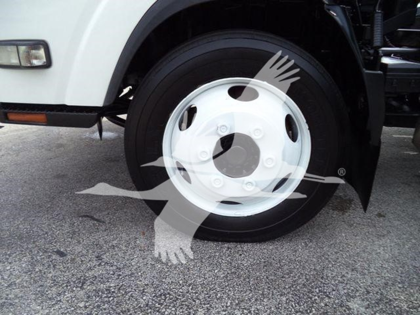 Isuzu NPR truck wheel and front fender showing white steel wheel and tire.