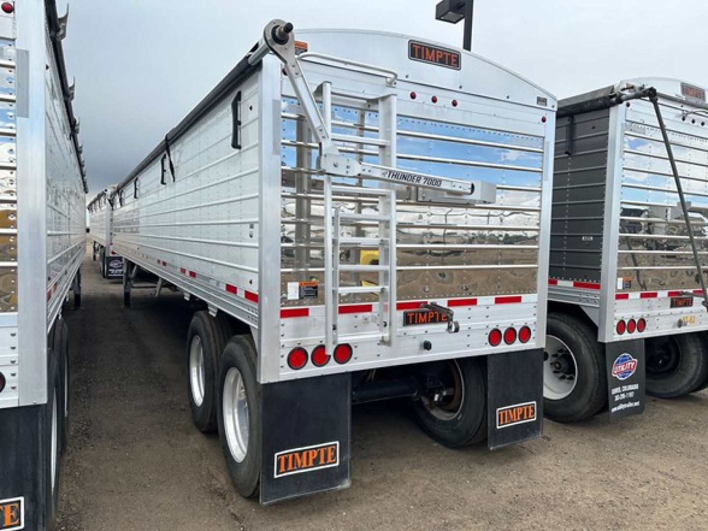 Timpte Super Hopper trailer rear view showing Tandem axle with mud flaps and Timpte branding on trailer and license plate area.
